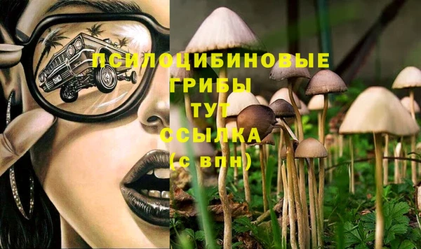 а пвп мука Осинники