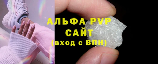 СК Пересвет